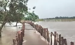 Bhutni: Fresh breach in Ratanpur embankment sparks flood panic Bhutni: Fresh breach in Ratanpur embankment sparks flood panic