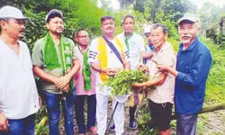 State to frame plan for moving Buxa Hills crops to plains State to frame plan for moving Buxa Hills crops to plains