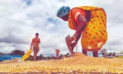 State govt orders weighing scale checks before Kharif procurement State govt orders weighing scale checks before Kharif procurement