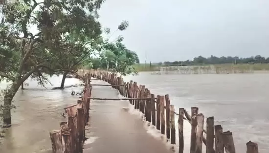 Bhutni: Fresh breach in Ratanpur embankment sparks flood panic