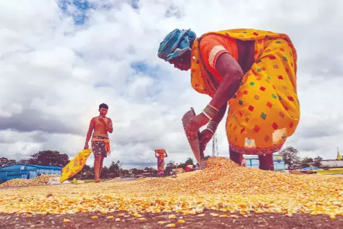 State govt orders weighing scale checks before Kharif procurement State govt orders weighing scale checks before Kharif procurement
