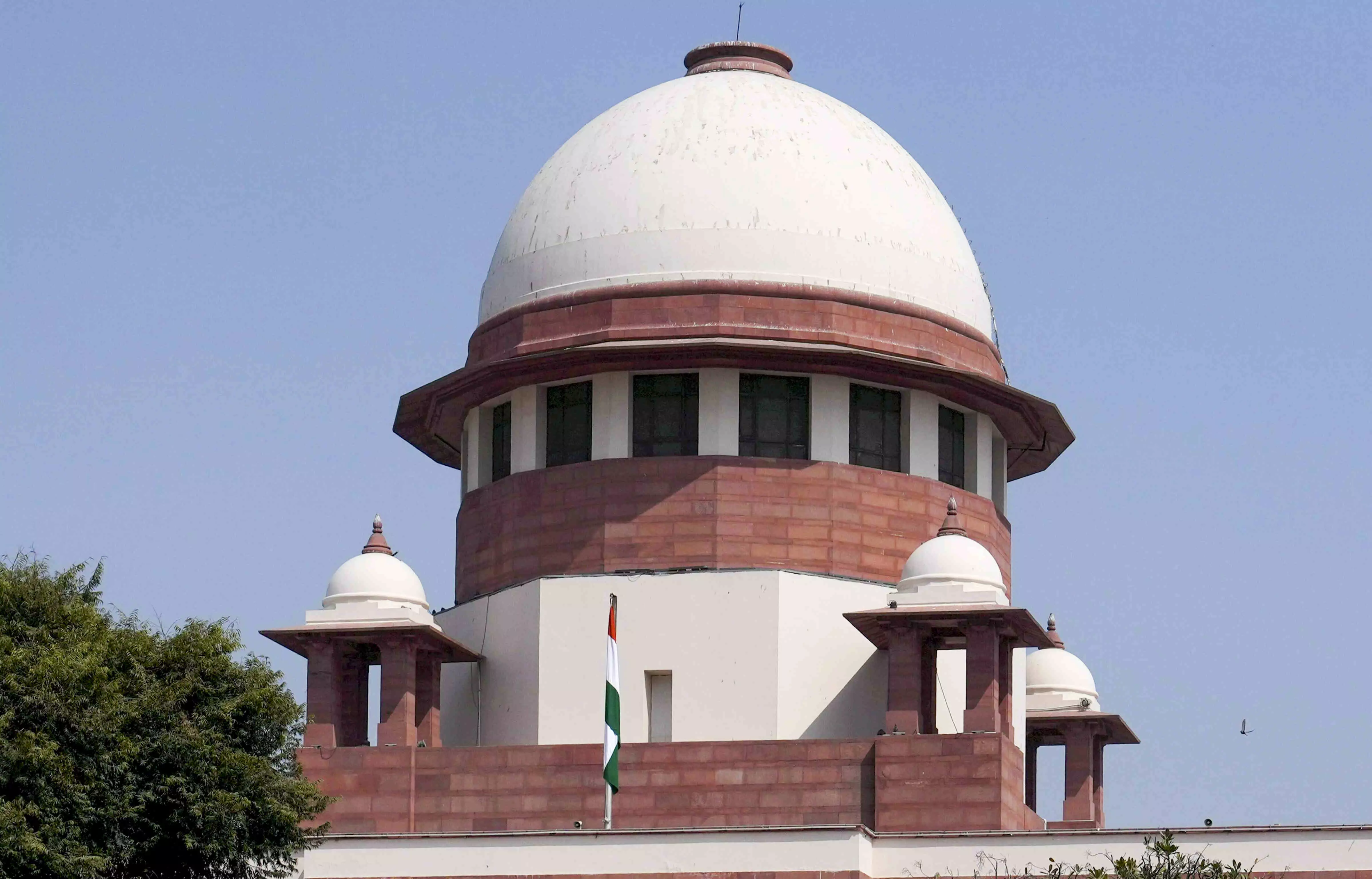 Stubble burning: SC asks Punjab why few errant farmers shouldnt be arrested to send message