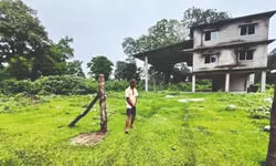 Buxa Tiger Reserve prepares for return of one-horned rhinos after 75 years Buxa Tiger Reserve prepares for return of one-horned rhinos after 75 years