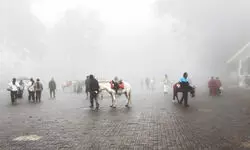 Darjeeling tourism sees slow bookings, hopes pinned on Oct