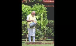 PM Modi plants sapling gifted by British King on his 75th birthday