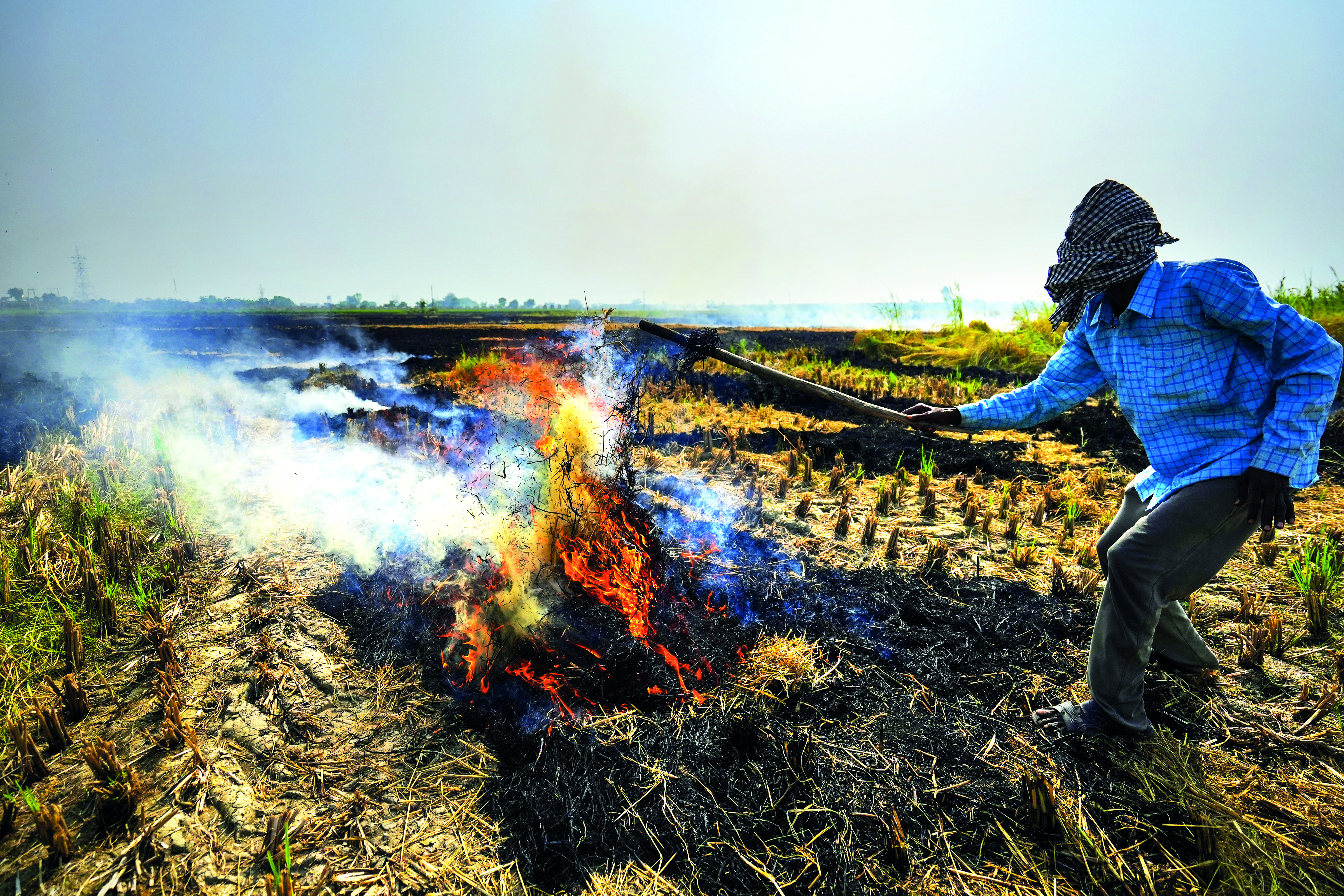 Stubble burning: Punjab records 27 incidents in 5 days; Govt intensifies awareness campaign