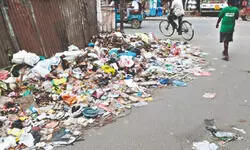 Durga Puja looms as Raiganj residents face rising garbage Durga Puja looms as Raiganj residents face rising garbage