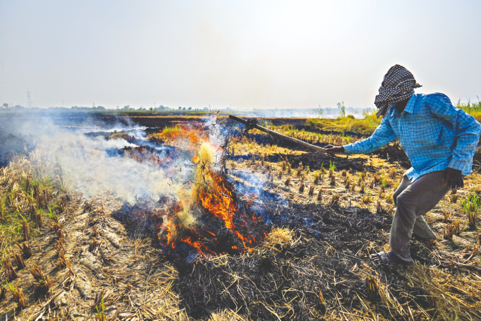 Punjab stubble   fires raise Delhi   smog alarm
