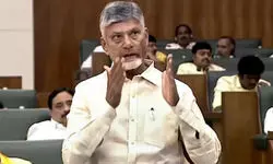 Greedy doctors encouraging cesarean births for money in Andhra: CM Greedy doctors encouraging cesarean births for money in Andhra: CM