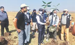 Planting Hope, Nurturing Future Planting Hope, Nurturing Future