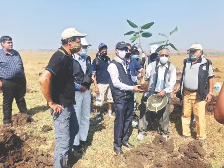 Planting Hope, Nurturing Future