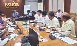 Noida to set up 1,200 stray dog feeding points after SC directive Noida to set up 1,200 stray dog feeding points after SC directive