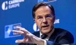 Entirely baseless: India on NATO chiefs claims that Modi asked for Ukraine plan from Putin