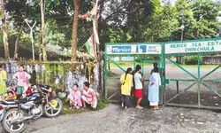 Bonus dispute sparks protests in tea gardens, over 1K workers left in limbo Bonus dispute sparks protests in tea gardens, over 1K workers left in limbo