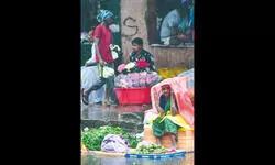 Maha: Over 11,500 evacuated in Marathwada amid heavy rains; two killed in Dharashiv Maha: Over 11,500 evacuated in Marathwada amid heavy rains; two killed in Dharashiv