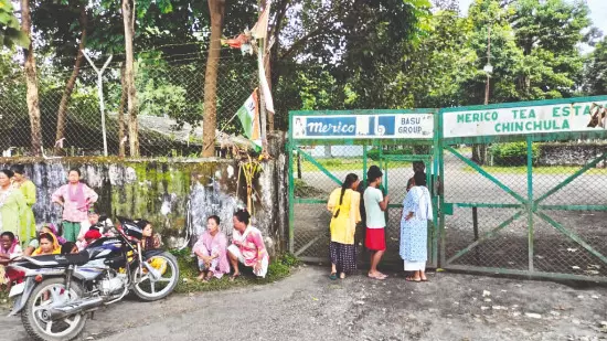 Bonus dispute sparks protests in tea gardens, over 1K workers left in limbo