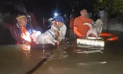 Typhoon Bualoi becomes tropical storm that rips through Vietnam, killing at least 9 people Typhoon Bualoi becomes tropical storm that rips through Vietnam, killing at least 9 people