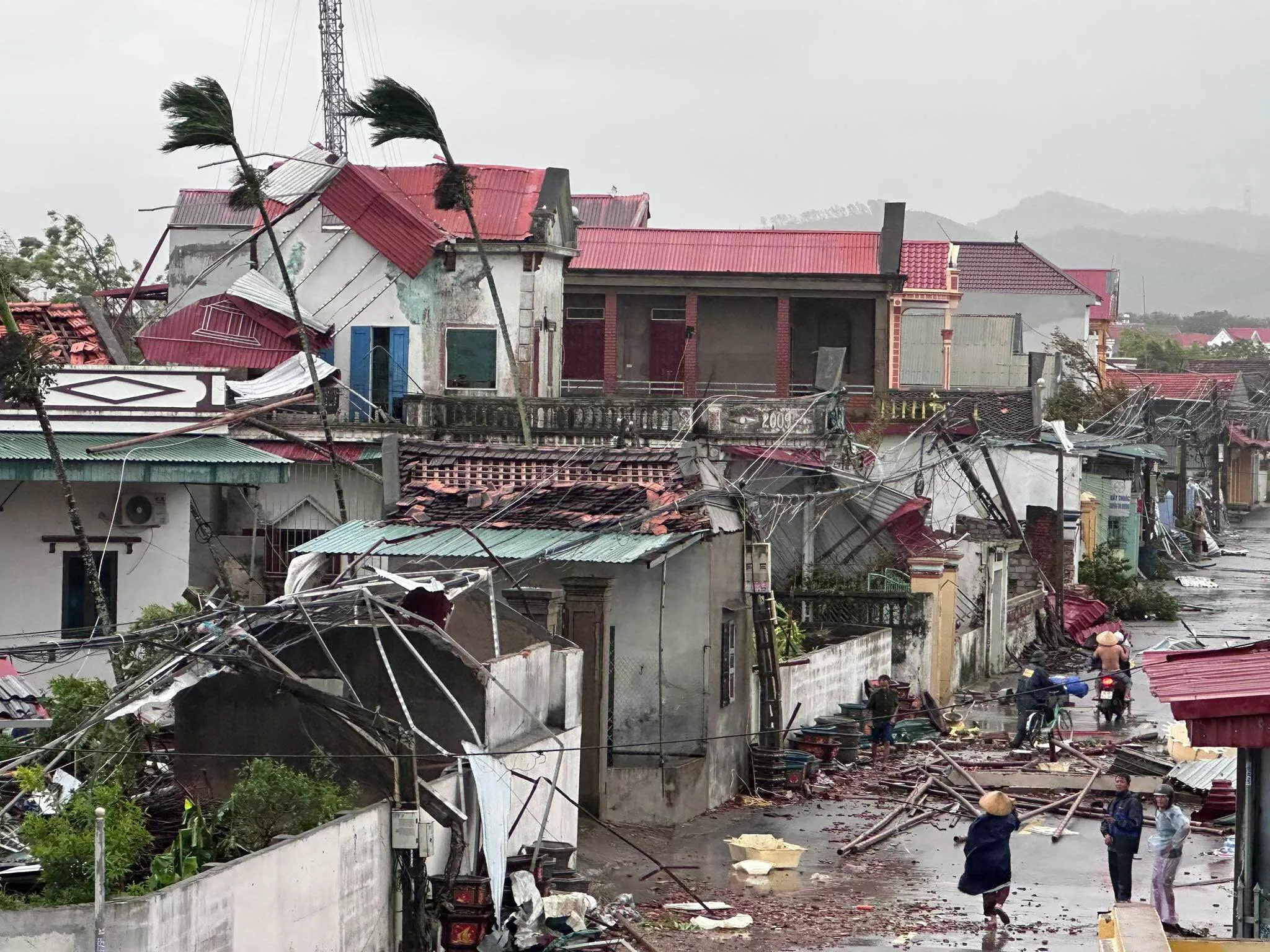 Typhoon Bualoi leaves 19 dead, 88 injured in Vietnam