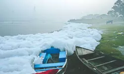 Govt rolls out plan to tackle Yamuna froth ahead of Chhath Puja