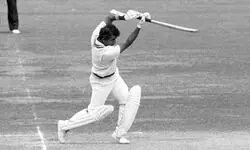 More Than Just Cricket