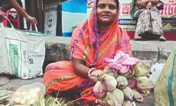 Traders rely on cold storage units to meet lotus demand for Lakshmi Puja Traders rely on cold storage units to meet lotus demand for Lakshmi Puja