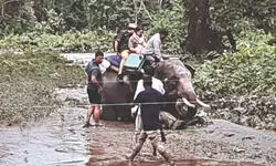 Wildlife, tourists stranded as flood fury ravages Jaldapara Wildlife, tourists stranded as flood fury ravages Jaldapara
