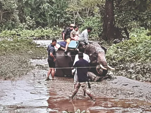 Wildlife, tourists stranded as flood fury ravages Jaldapara