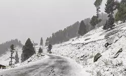 Fresh snowfall in higher reaches, rainfall in plains bring sharp dip in Kashmir temperature Fresh snowfall in higher reaches, rainfall in plains bring sharp dip in Kashmir temperature