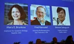 US, Japanese scientists awarded Nobel Prize for Medicine for discovery on immune system