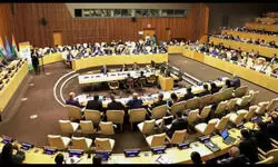 India to send multi-party delegations to UNGA India to send multi-party delegations to UNGA