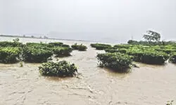 Chief Minister assures all help to restore flood-hit tea estates Chief Minister assures all help to restore flood-hit tea estates