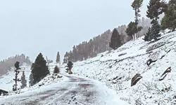 Showers drench north India, J&K receives fresh snowfall