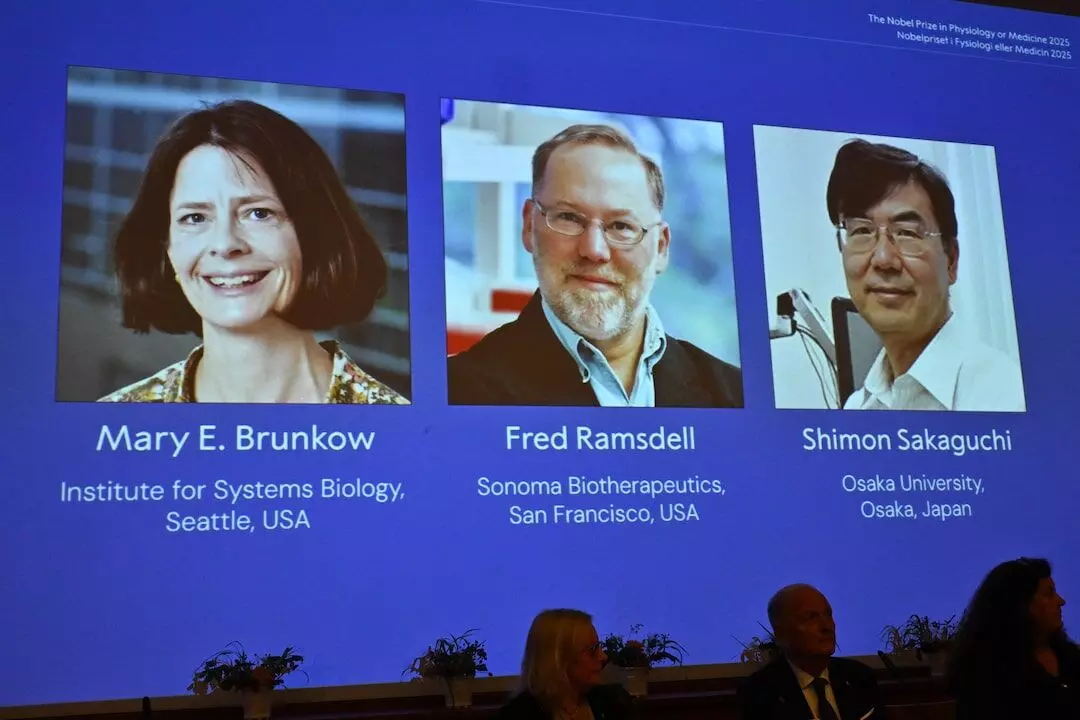 US, Japanese scientists awarded Nobel Prize for Medicine for discovery on immune system