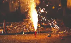 Bengal govt plans Rs 2.88 cr green firecracker manufacturing hubs