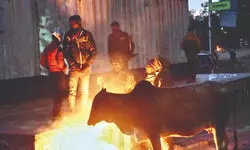 Homeless face early chill and dengue spike as govt rushes to ready shelters Homeless face early chill and dengue spike as govt rushes to ready shelters