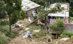 Flash floods, landslides devastate over 30 Darjeeling tea gardens; Rs 50 crore loss feared Flash floods, landslides devastate over 30 Darjeeling tea gardens; Rs 50 crore loss feared