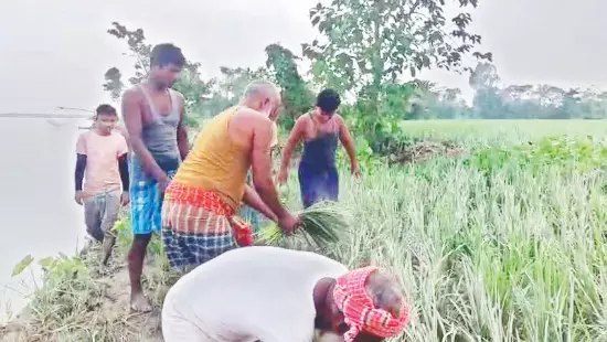 Floods destroy 500 acres, leave 8,000 stranded; calls grow for Jaldhaka Dam Floods destroy 500 acres, leave 8,000 stranded; calls grow for Jaldhaka Dam