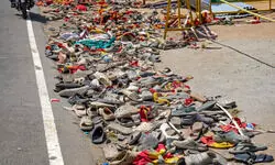 Karur stampede: SC questions Madras HC over its order to form SIT