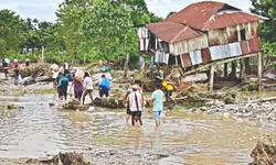 Over 2,000 hectares of Aman paddy destroyed in Jalpaiguri floods