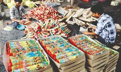 ‘Complete ban not practical or ideal’: SC hints at partial relaxation on firecracker ban