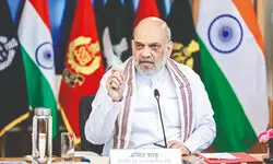 CAA was passed to rectify historical injustice: Amit Shah