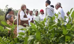 PM lays foundation stones for Rs 160-cr fishery projects in Odisha