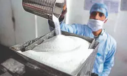 India exports 7.75L tonnes sugar in 2024-25 marketing season: AISTA India exports 7.75L tonnes sugar in 2024-25 marketing season: AISTA