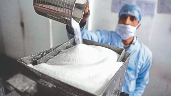 India exports 7.75L tonnes sugar in 2024-25 marketing season: AISTA