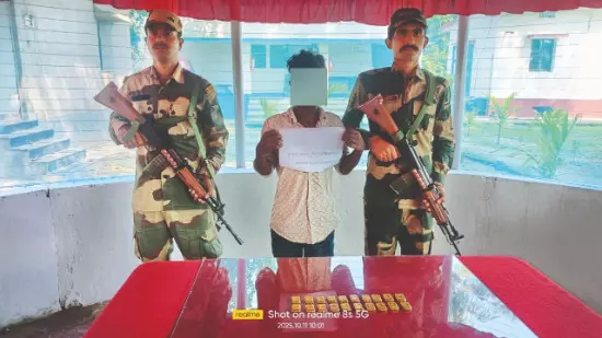 BSF foils smuggling bid; 20 kg gold seized