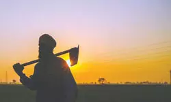 Govt flags over 31L ‘suspected’ PM-Kisan beneficiaries