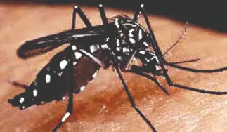 Over 9K dengue cases reported, CS holds meet with DMs, CMoHs