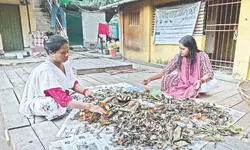 Incense sticks from discarded flowers: Tea garden women find new livelihood