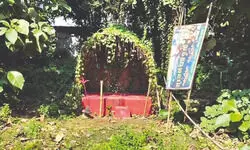 ‘Tara Kali Puja’ of Atreyee forest continues under cover of night ‘Tara Kali Puja’ of Atreyee forest continues under cover of night