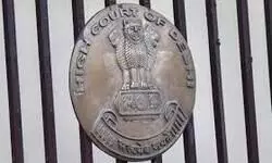 Financially independent spouse not entitled to alimony, rules Delhi HC Financially independent spouse not entitled to alimony, rules Delhi HC